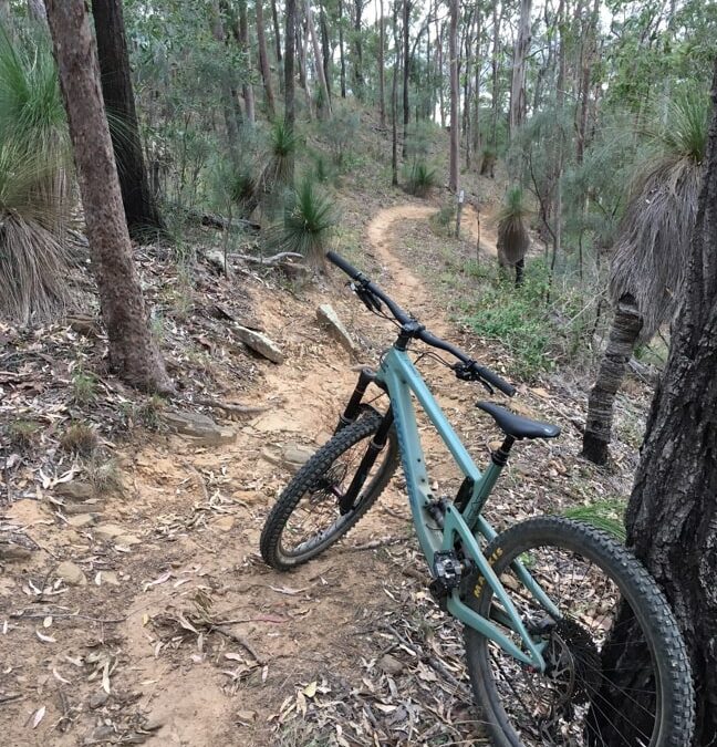 Trail Management Training