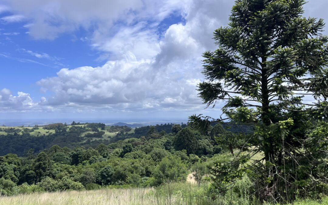 Bunya Mountains: Restoring Trails, Strengthening Culture, and Building Confidence