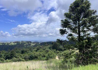 Bunya Mountains: Restoring Trails, Strengthening Culture, and Building Confidence