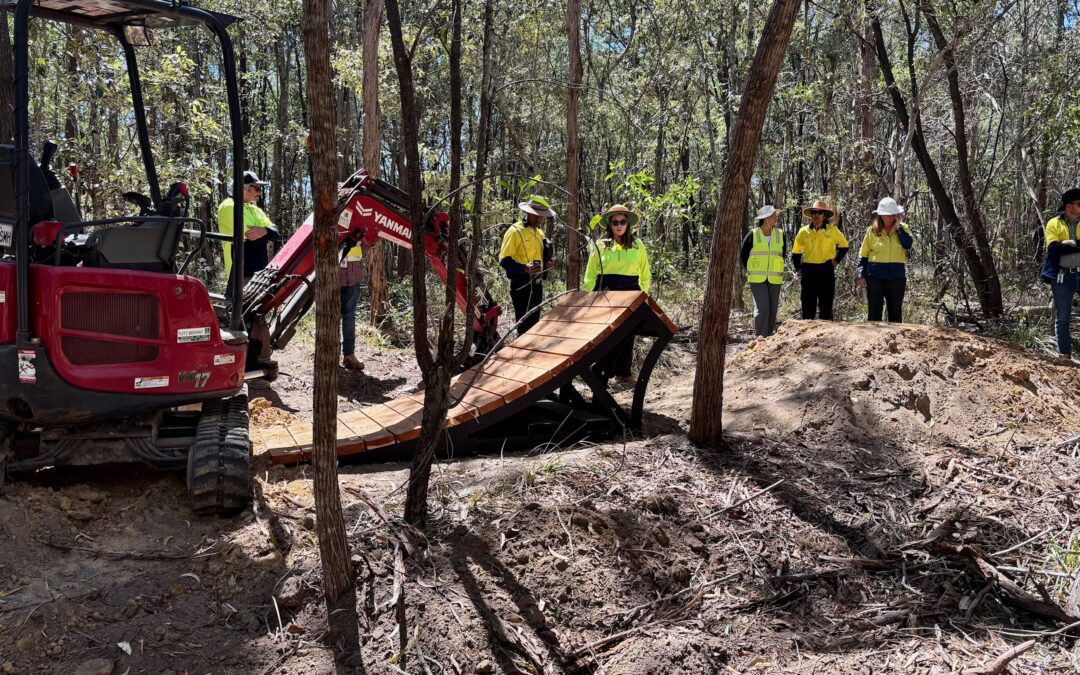 Lagoon Road Mountain Bike Trails, Moreton Bay