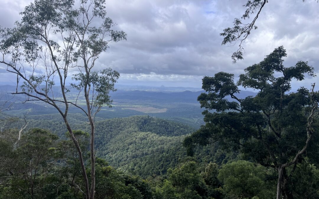 Getting Trail Procurement Right: Choosing the Right Contracting Strategy for the Best Outcome