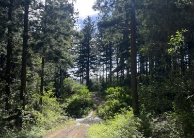 Mary Valley Mountain Bike Feasibility Study