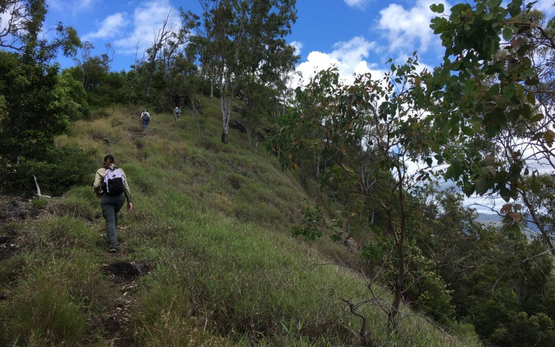 City of Gold Coast: Unlocking the Hinterland for Nature-Based Tourism