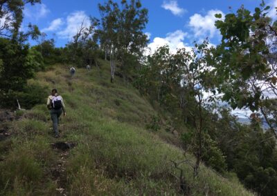 City of Gold Coast: Unlocking the Hinterland for Nature-Based Tourism